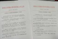 公司出台文件