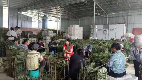 优秀校友：李福珍--罗霄山下一枝花